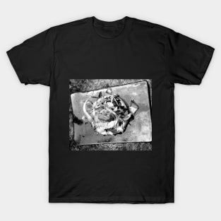 Black and white gourmet Okonomiyaki T-Shirt